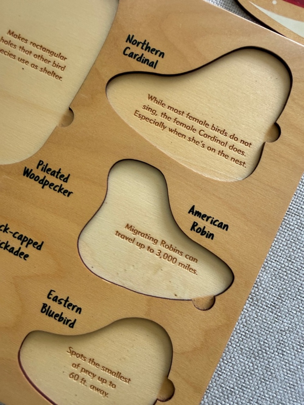 Maple Landmark Lift & Learn Backyard Birds Wooden Puzzle - Picture 9 of 11